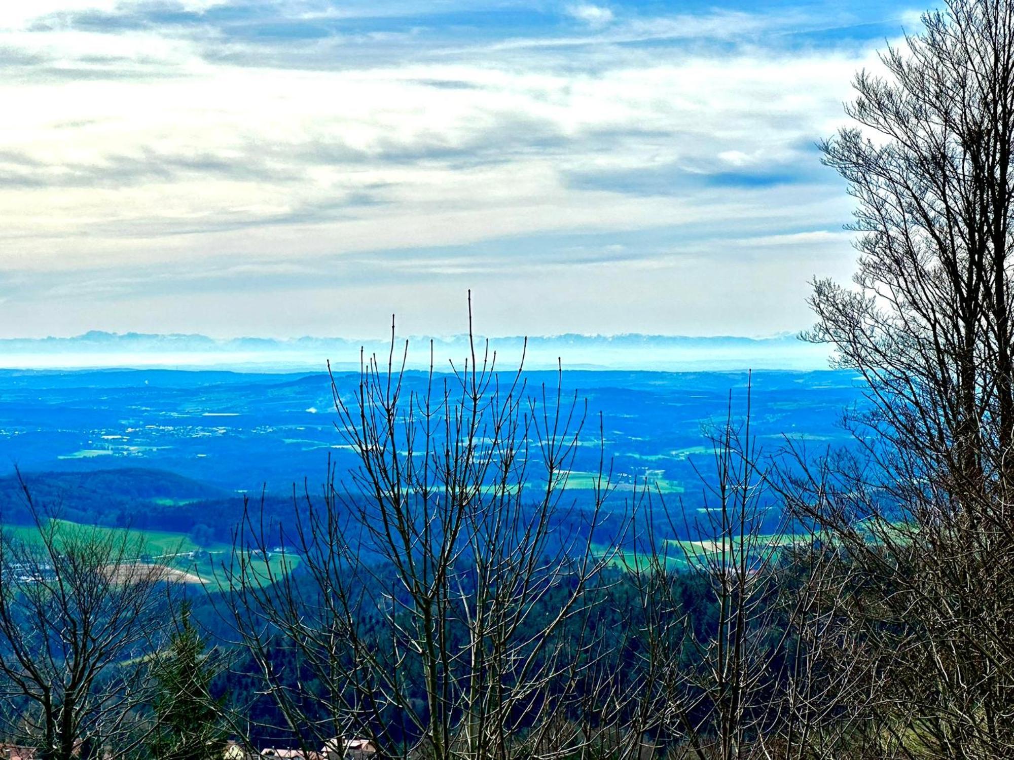 Gemuetliches Alpenblick Berg-Bungalow + Grosser Garten + Netflix! Schöfweg エクステリア 写真